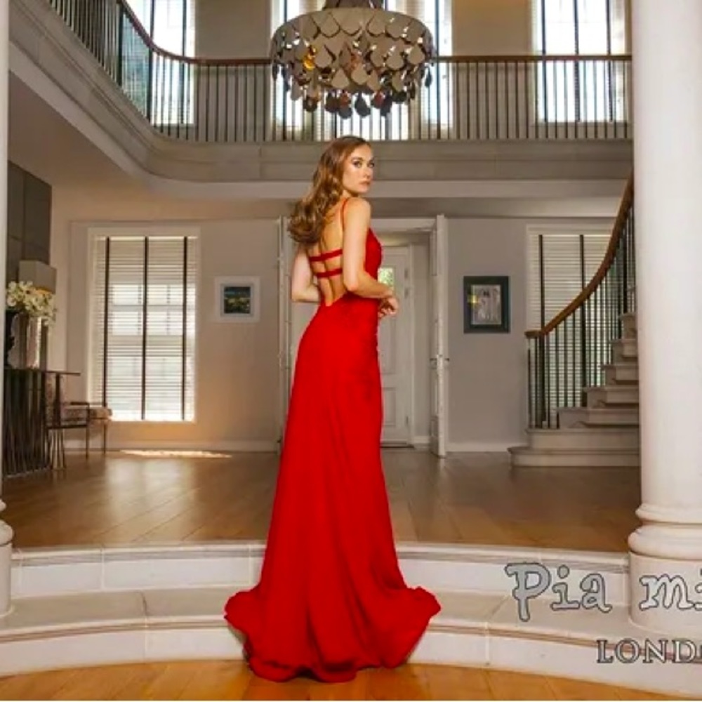 BRAND NEW GOWN Brand: Pia Michi Size: 4 Color: Red